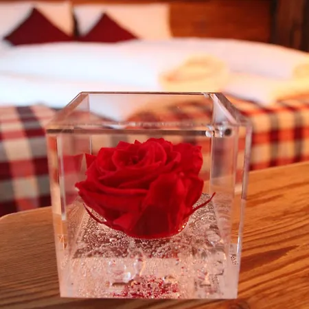 ベッド・アンド・ブレックファスト Rose リヴィーニョ